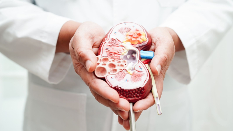 Xét nghiệm độ lọc cầu thận là gì?