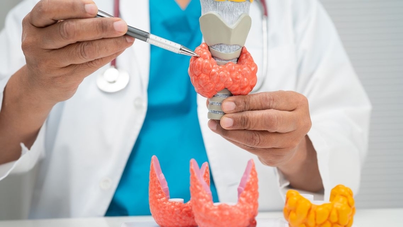 Xét nghiệm FT3 được thực hiện khi có chỉ định của bác sĩ