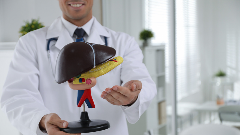 Xét Nghiệm Gan gồm những gì? Các Tiêu Chí Đánh Giá Rủi Ro và Phòng Ngừa Bệnh Gan 2