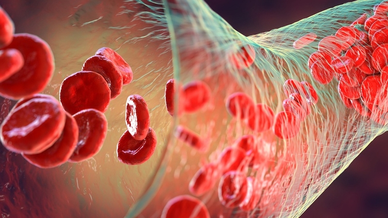 Xét nghiệm gen Hemophilia là gì? 1