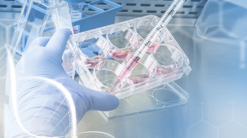 Xét nghiệm gen mở ra nhiều giá trị trong chẩn đoán và dự phòng bệnh