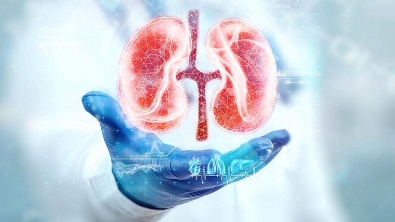 Xét nghiệm gì để biết suy thận: Tìm hiểu chi tiết 4