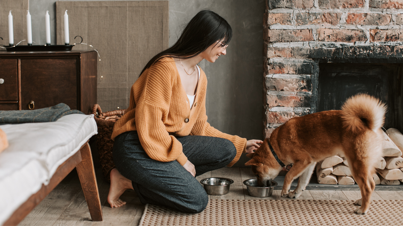 Khi vuốt ve chó mèo rồi không rửa tay, trứng có thể vào miệng