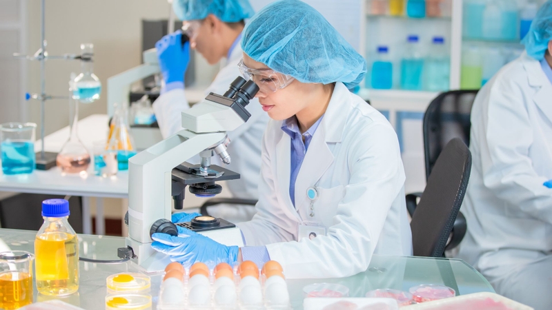 Nếu xác định nhiễm giun đũa, bác sĩ sẽ chỉ định phương pháp điều trị phù hợp