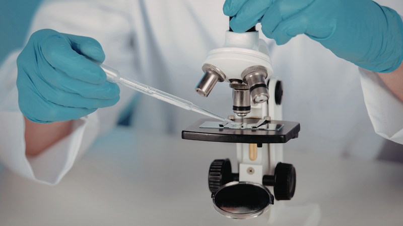 Xét nghiệm phân tìm ấu trùng giun lươn dưới kính hiển vi