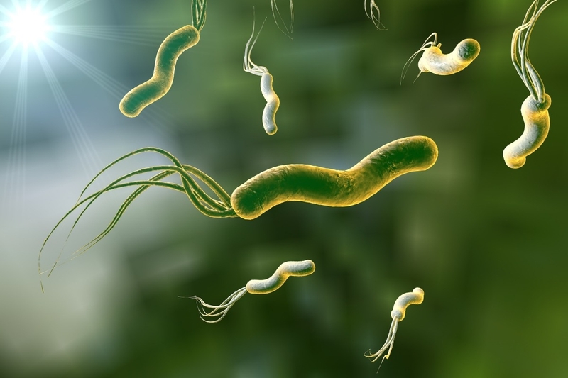 Xét nghiệm H. pylori IgG cho kết quả dương tính có ý nghĩa gì? 1