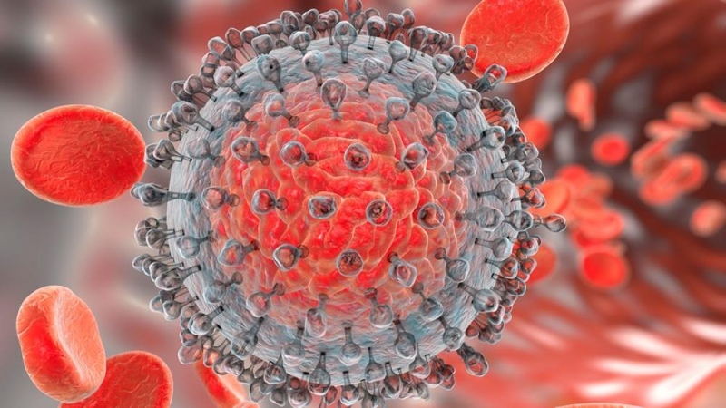 Xét nghiệm HCV Ab là gì? Vai trò của HCV Ab trong chẩn đoán bệnh viêm gan 2