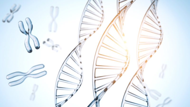 Xét nghiệm HLA là gì? Khi nào cần thực hiện xét nghiệm HLA? 3