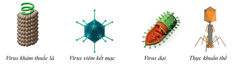 Xét nghiệm HPV dương tính: Ý nghĩa và những điều cần biết 1