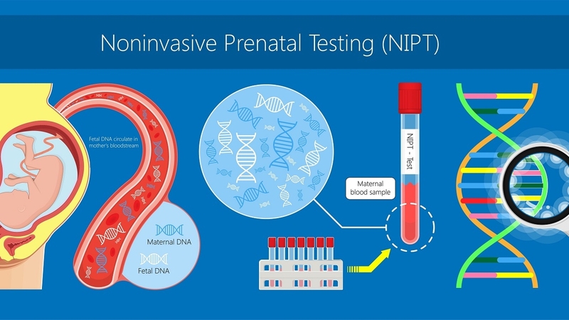 Xét nghiệm huyết thống thai nhi là gì? Quy trình xét nghiệm như thế nào? 2