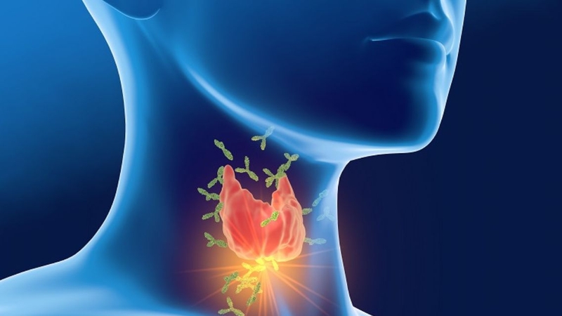 Xét nghiệm máu giúp phát hiện các kháng thể tự miễn tấn công tuyến giáp