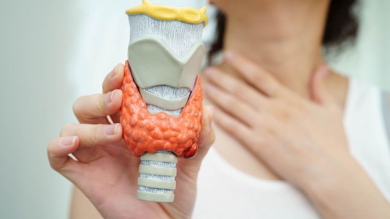 Xét nghiệm kháng thể tuyến giáp hỗ trợ chẩn đoán Hashimoto, Basedow