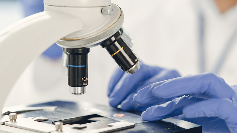 Xét nghiệm ký sinh trùng bao lâu có kết quả? Và những điều bạn cần biết về bệnh 2