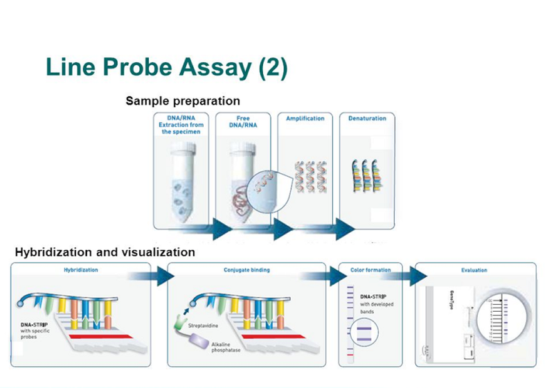 Xét nghiệm LPA là gì? Nó có ưu điểm gì so với các phương pháp khác? 2