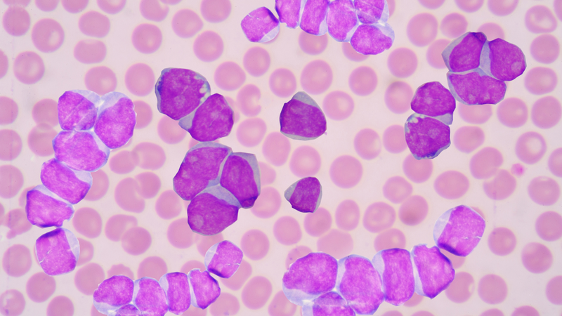 Xét nghiệm máu 32 chỉ số​ có ý nghĩa gì? 3