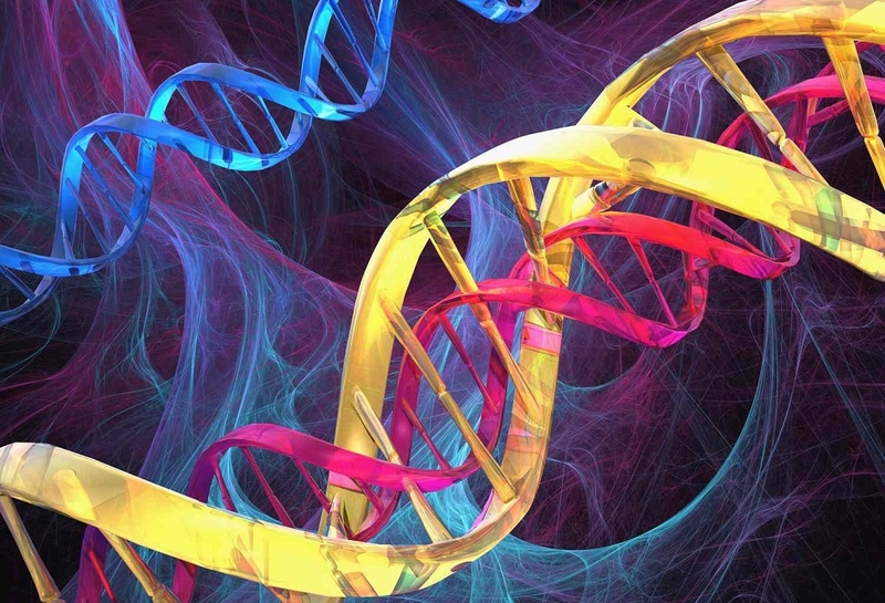 Xét nghiệm nhiễm sắc thể đồ là gì? Quy trình thực hiện xét nghiệm nhiễm sắc thể đồ 1