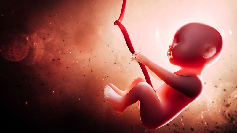 Xét nghiệm NIPT 9 tuần có biết trai hay gái không? 2