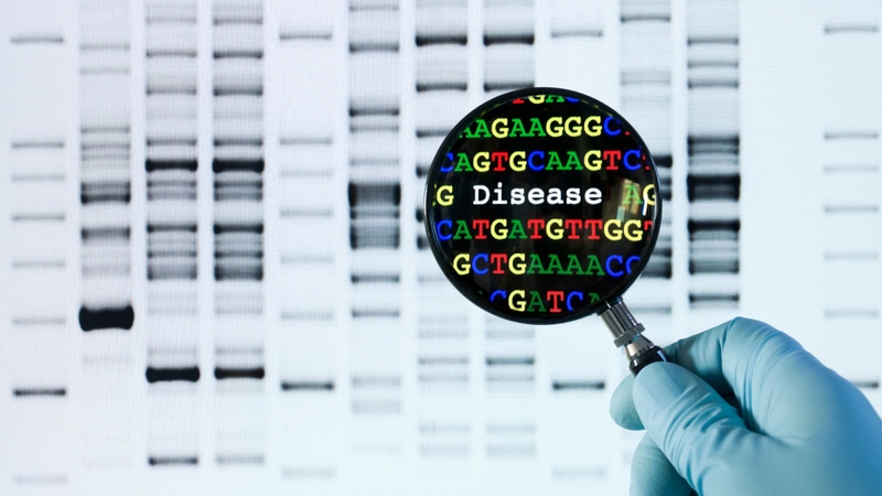 Xét nghiệm NIPT 9 tuần có biết trai hay gái không? 3