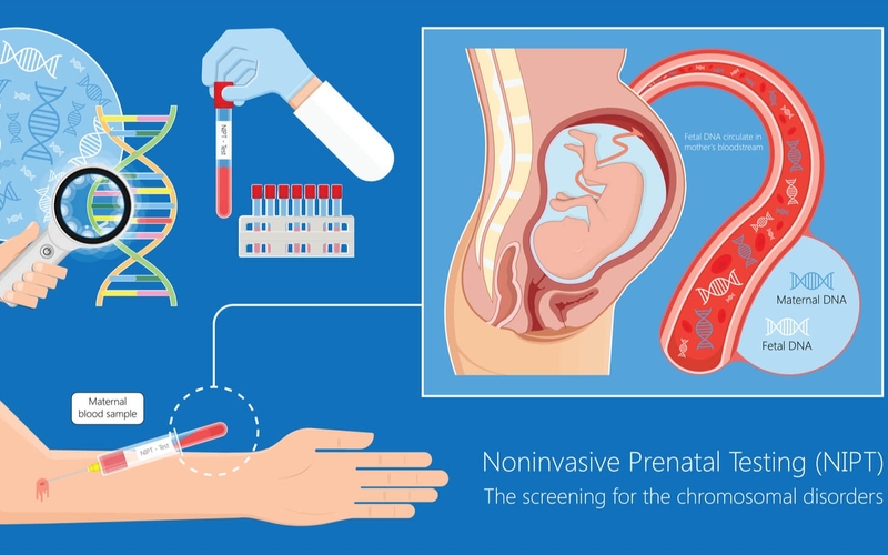 Xét nghiệm NIPT ở đâu Hà Nội uy tín, chất lượng nhất? 1