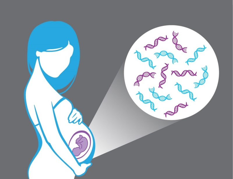 Xét nghiệm nipt từ tuần bao nhiêu là tốt nhất? 2