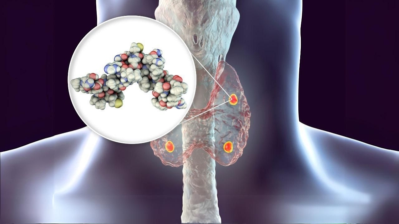 Xét nghiệm nồng độ canxi trong máu là gì? Cách đọc kết quả xét nghiệm 2