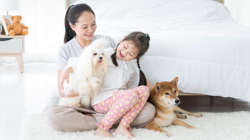 Những người nuôi thú cưng hoặc thường xuyên tiếp xúc với chó, mèo nên được kiểm tra định kỳ