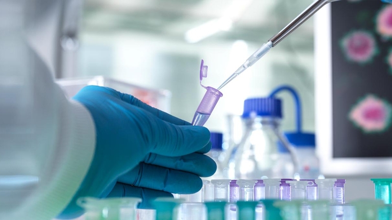 Xét nghiệm sán lá gan và những điều bạn cần biết 3