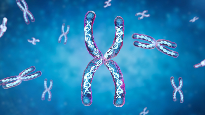 Xét nghiệm sàng lọc 3 tháng đầu cũng giúp phát hiện sớm các hội chứng di truyền phổ biến