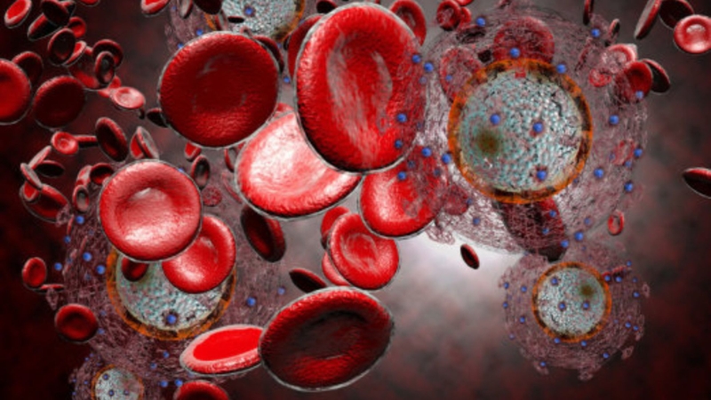 Xét nghiệm số lượng tế bào CD4 để làm gì? 2