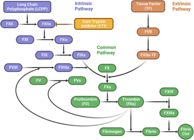 Xét nghiệm TCK được thực hiện như thế nào? 2
