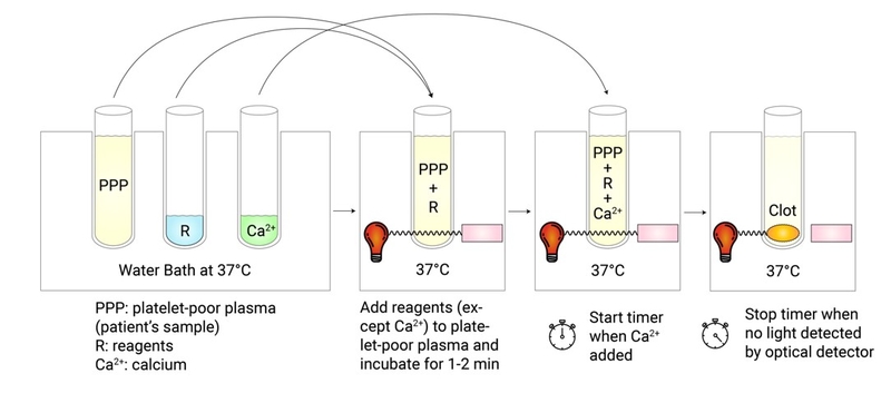 Xét nghiệm TCK được thực hiện như thế nào? 4