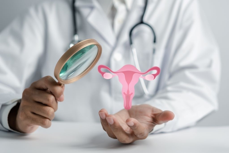 Xin trứng là gì? Làm sao để chọn được người cho trứng? 2