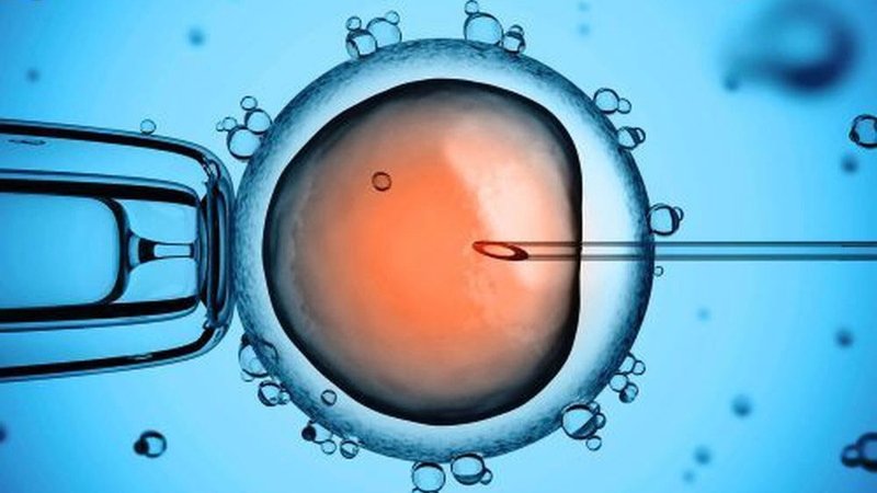 Xin trứng làm IVF ở đâu? Cần chuẩn bị gì trước khi xin trứng? 4