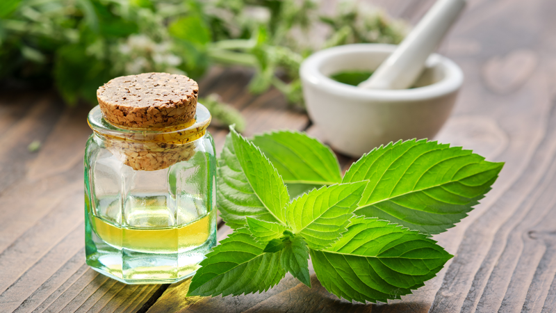 Tinh dầu bạc hà chứa menthol, giúp tạo cảm giác mát và góp phần làm dịu cảm giác khó chịu ở họng