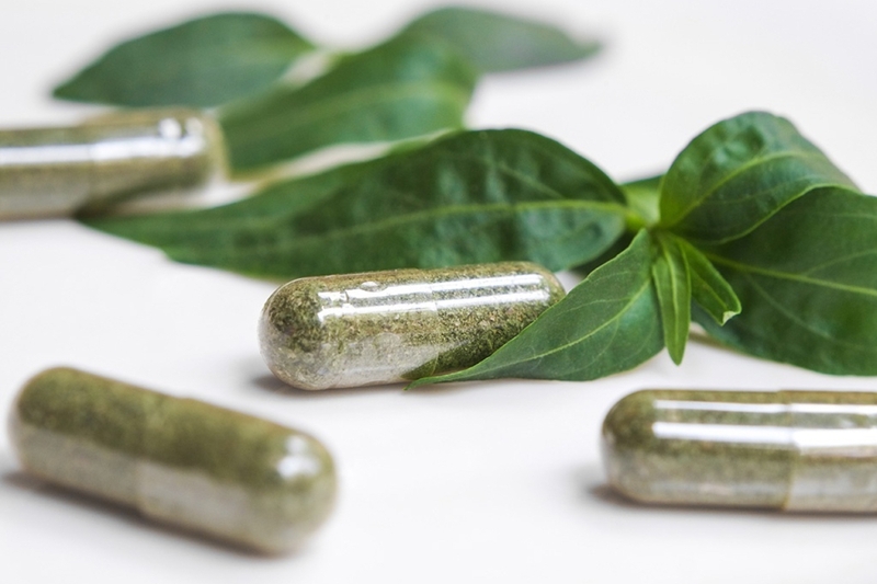 Xịt họng Xuyên Tâm Liên - Bảo vệ hiệu quả sức khỏe cả nhà trong mùa dịch 2