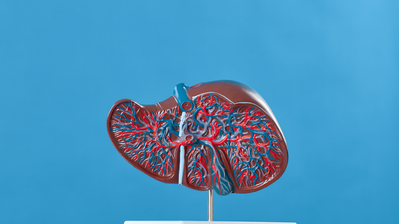 Việc xơ gan F1 có chữa được không còn phụ thuộc vào nhiều yếu tố