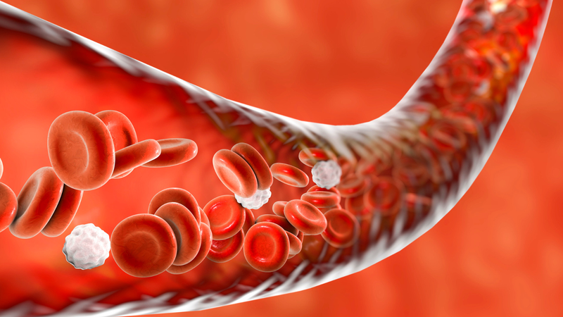 Vitamin C tham gia vào quá trình chống oxy hóa và hỗ trợ chức năng miễn dịch