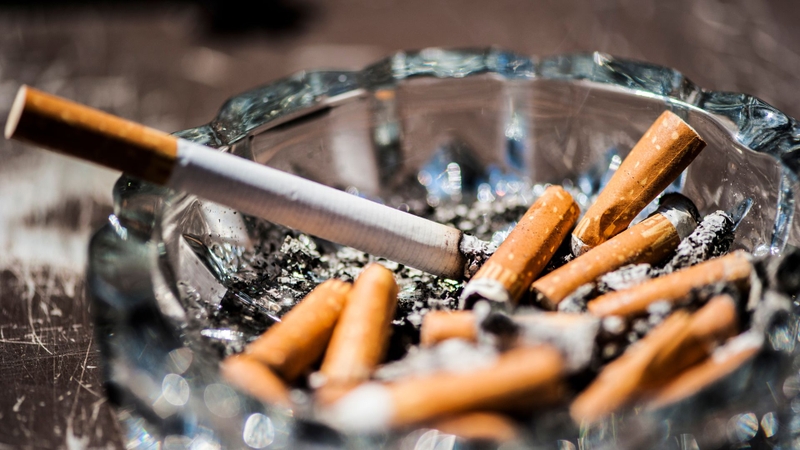 Xơ phổi 1/3 là gì​? Nguyên nhân, triệu chứng và chẩn đoán xơ phổi 1/3 2