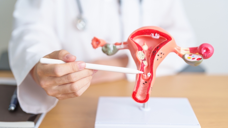 Xoắn polyp cổ tử cung có đau không? Câu trả lời là có thể