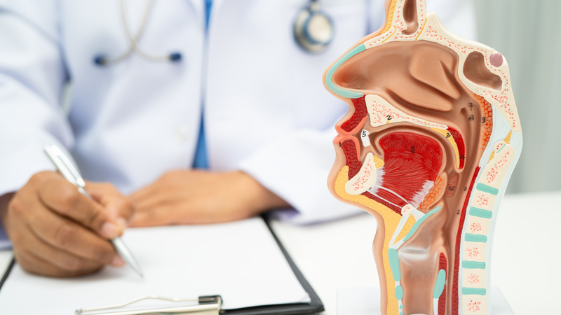 Xoang là các khoang rỗng chứa không khí nằm trong các xương vùng mặt và hộp sọ