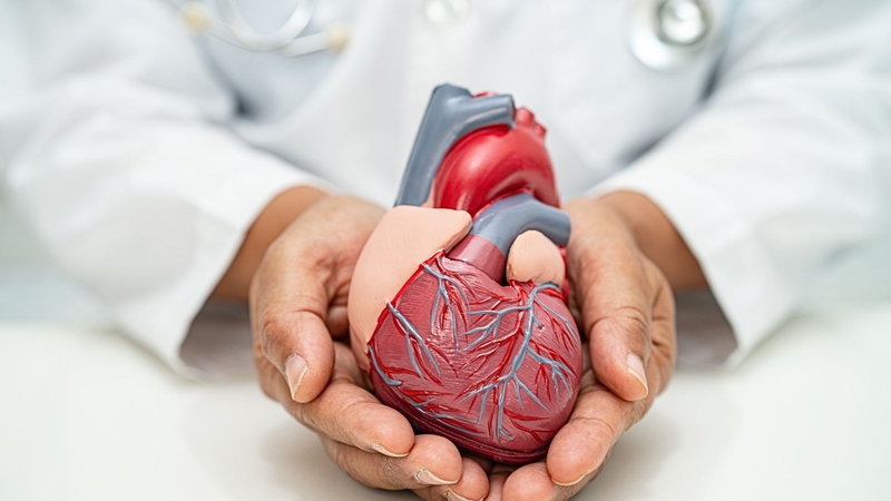 Xôi bắp gần như không chứa cholesterol xấu