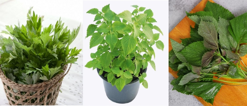 Xông gì cho đẹp da sau sinh 4