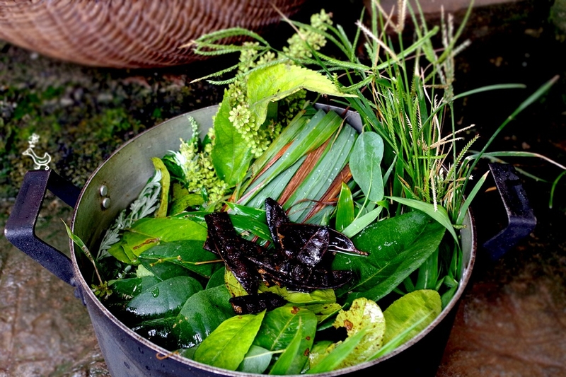 Những lưu ý cần biết khi xông lá trị cảm cúm 2