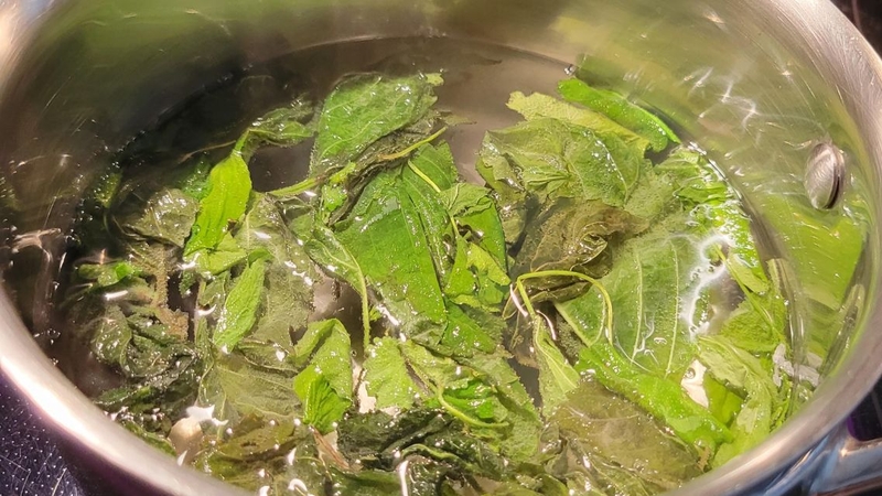 Không phải ai cũng phù hợp với phương pháp xông mặt bằng lá tía tô