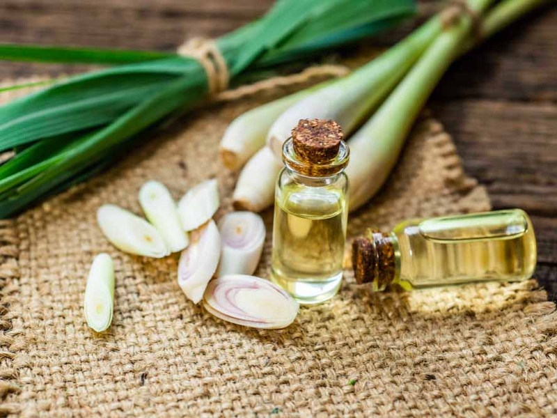 Xông tinh dầu sả chanh có tác dụng gì đối với sức khỏe?3