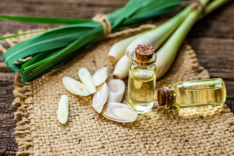 Xông tinh dầu sả có tác dụng gì với sức khỏe2