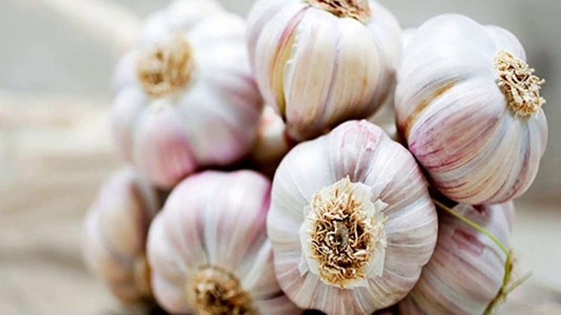 cach chua cam cum bang toi 01