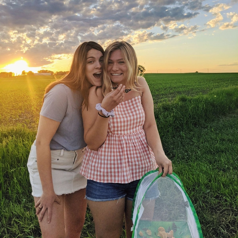 Xu hướng tính dục gồm: người dị tính, đồng tính nam, đồng tính nữ và người thắng