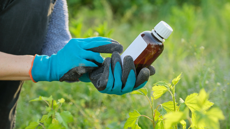 Mang theo bao bì, nhãn mác, chai lọ của loại thuốc trừ sâu mà nạn nhân tiếp xúc