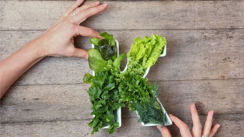 Xử trí quá liều thuốc chống đông kháng vitamin K 4